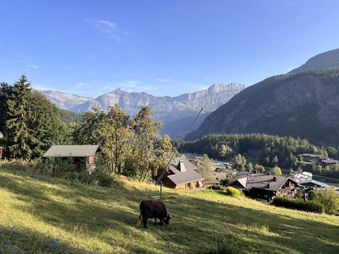 20251171431329753 20251171431329753.jpg