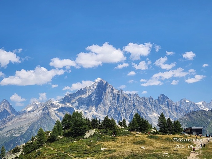 20251171421352316 20251171421352316.jpg