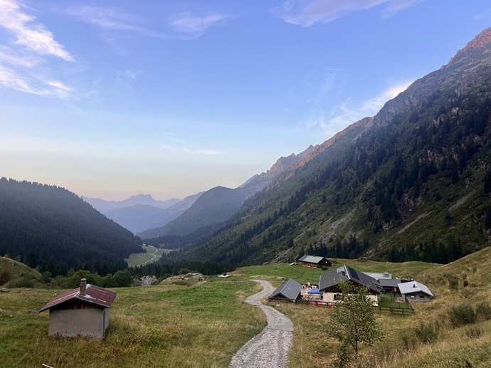 IMG_6878 IMG_6878.jpg