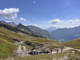 IMG_6928 IMG_6928.jpg