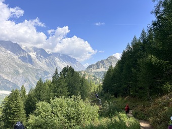 IMG_7094 IMG_7094.jpg