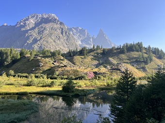 IMG_7027 IMG_7027.jpg