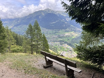 IMG_7238 IMG_7238.jpg