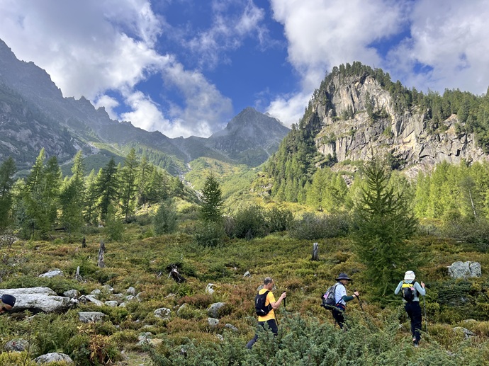 IMG_7336 IMG_7336.jpg