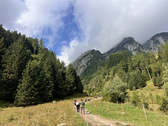 IMG_7358 IMG_7358.jpg