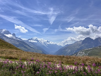 IMG_7392 IMG_7392.jpg