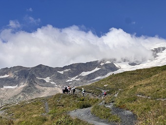 IMG_6979 IMG_6979.jpg