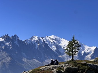 IMG_7444 IMG_7444.jpg