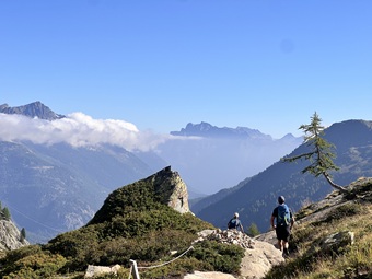 IMG_7426 IMG_7426.jpg