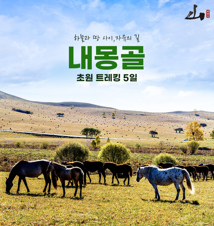 ������ 11.jpg