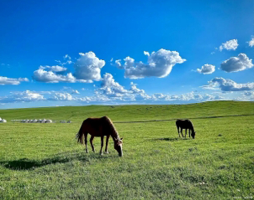 ���� ����-3111.jpg