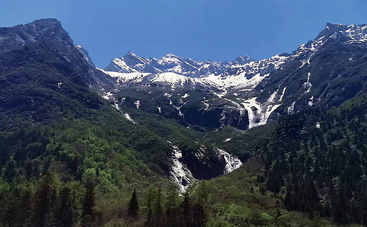 ���� ���� ǳ��