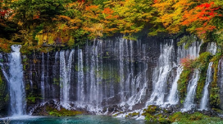 �ö����� ����.jpg