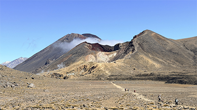 ���޶��� ����ũ