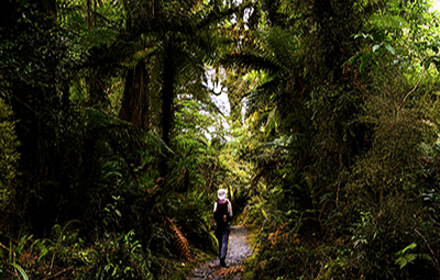 ������ Ʈ��ŷ